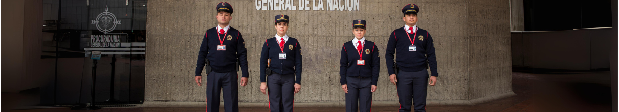 vigilancia privada